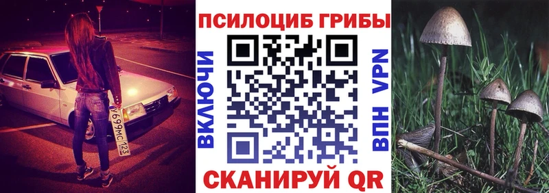 Галлюциногенные грибы мухоморы  кракен ТОР  Отрадное 