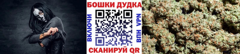 Марихуана гибрид  Отрадное 